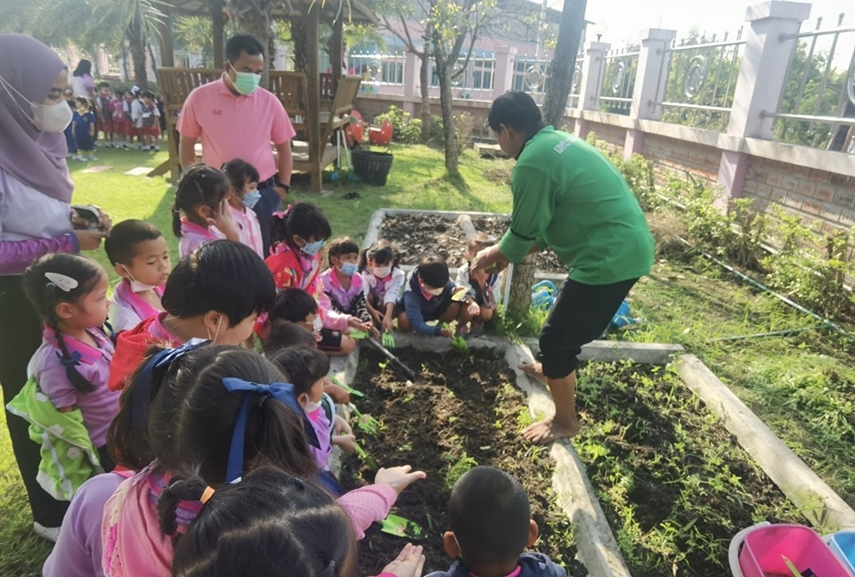 🥦✨ ปลูกผักปลอดสารพิษกินได้🌱👧👦 - รูปที่ 3
