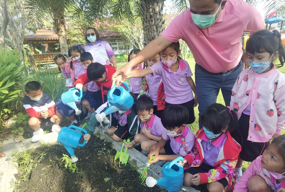 🥦✨ ปลูกผักปลอดสารพิษกินได้🌱👧👦 - รูปที่ 4