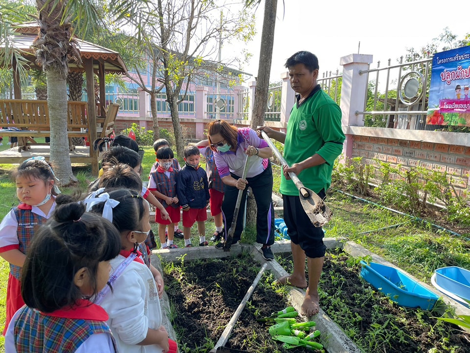 🥦✨ ปลูกผักปลอดสารพิษกินได้🌱👧👦 - รูปที่ 7