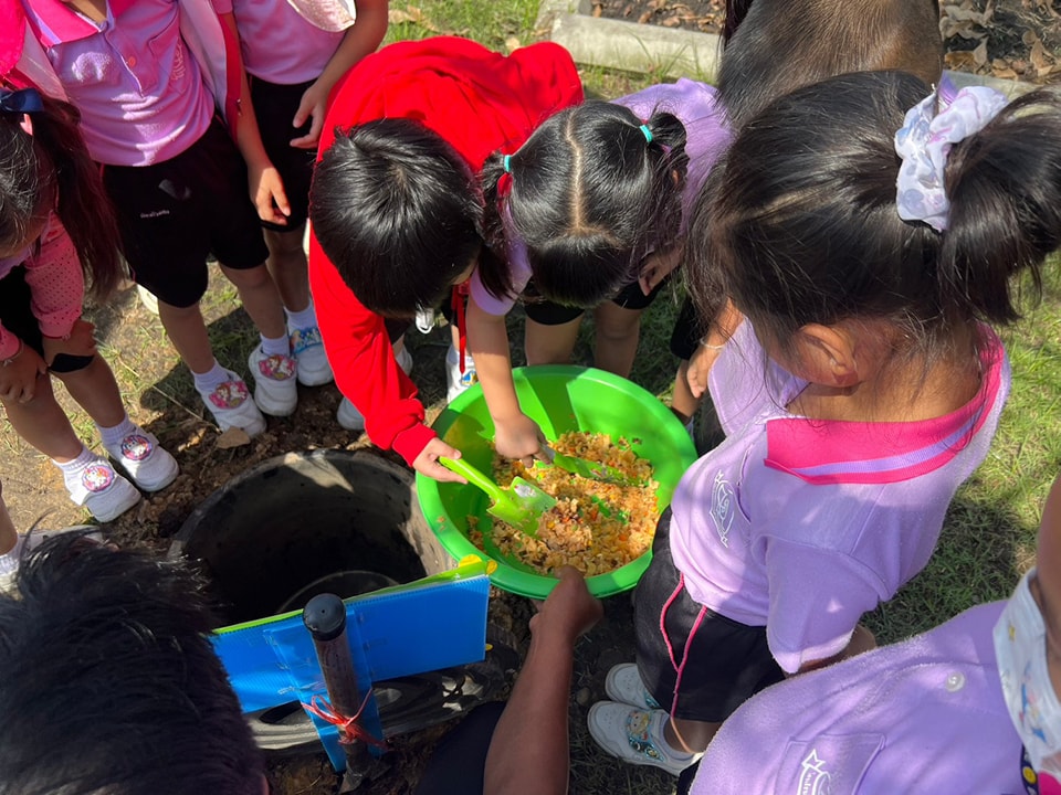 🥦✨ ปลูกผักปลอดสารพิษกินได้🌱👧👦 - รูปที่ 8